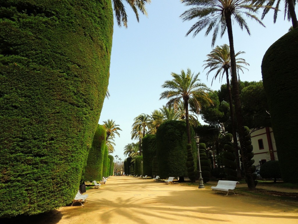 Foto de Cádiz (Andalucía), España