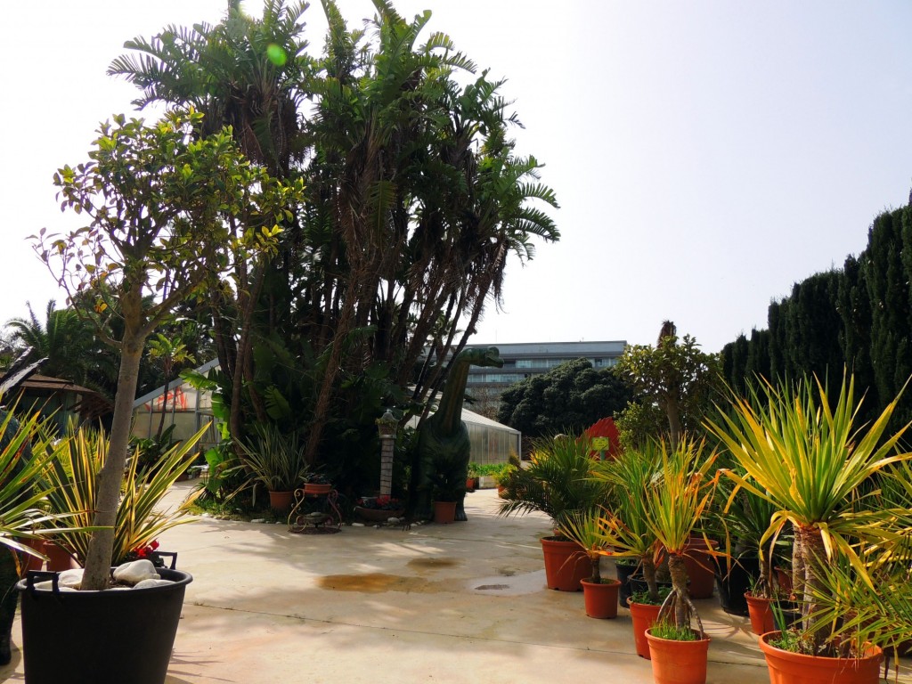 Foto: Viveros - Cádiz (Andalucía), España