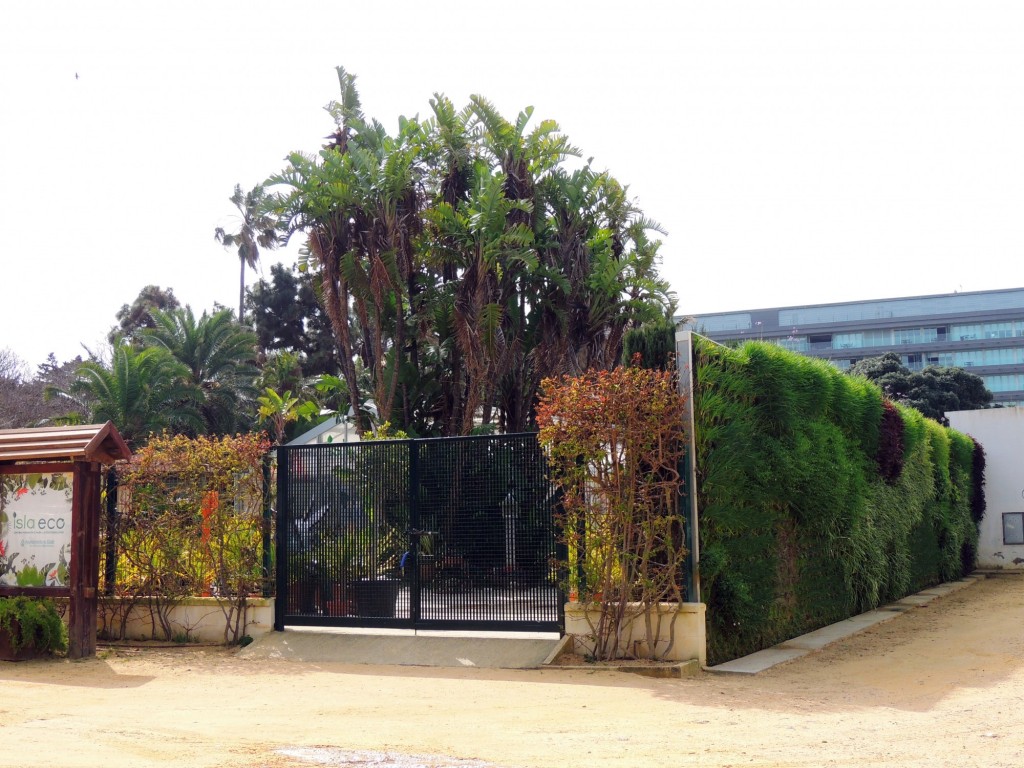 Foto de Cádiz (Andalucía), España