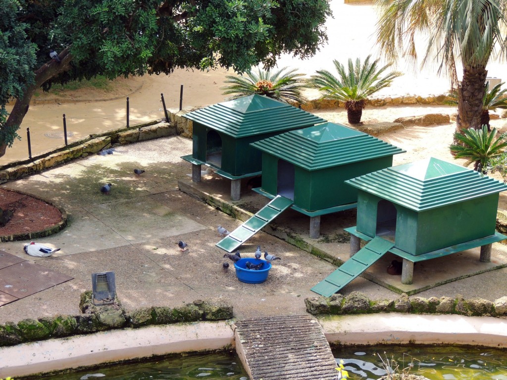 Foto de Cádiz (Andalucía), España