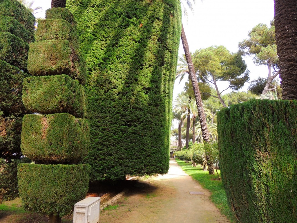 Foto de Cádiz (Andalucía), España