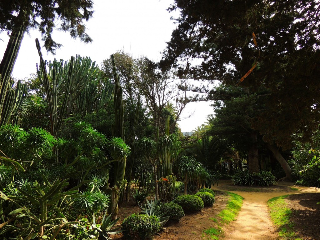 Foto de Cádiz (Andalucía), España