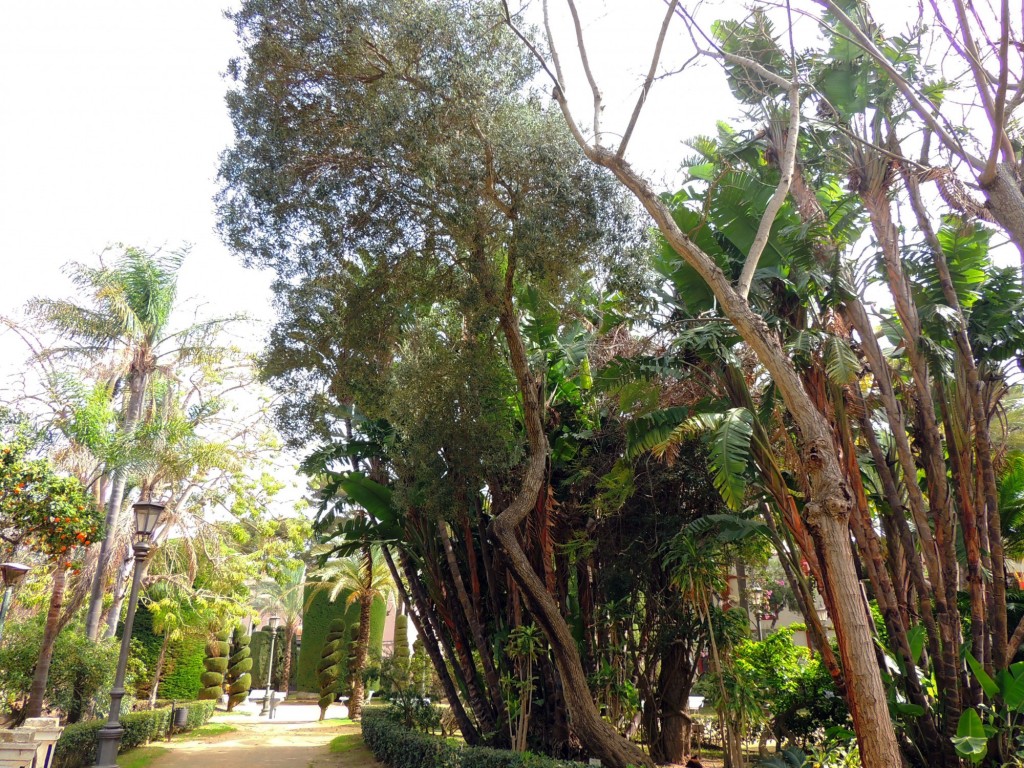 Foto de Cádiz (Andalucía), España