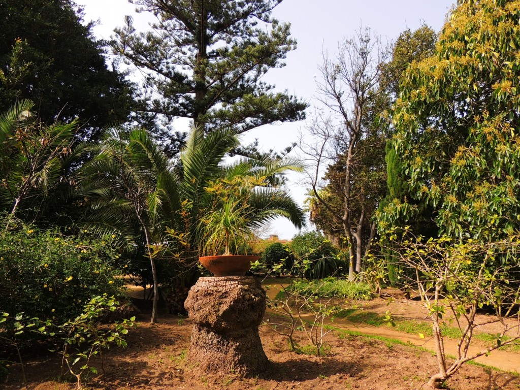 Foto de Cádiz (Andalucía), España