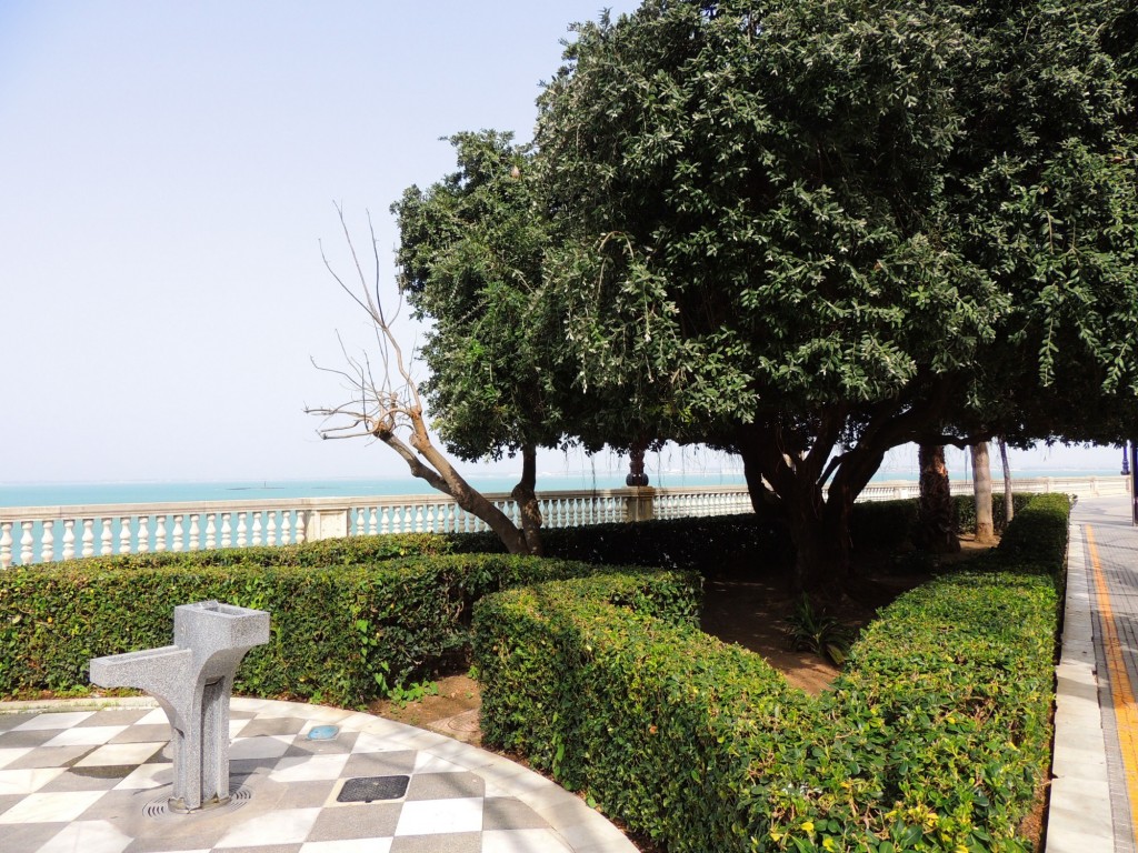 Foto de Cádiz (Andalucía), España