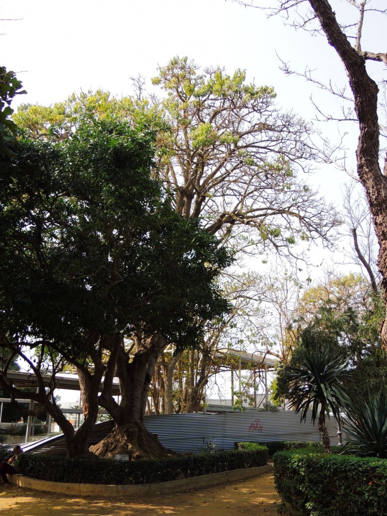 Foto de Cádiz (Andalucía), España