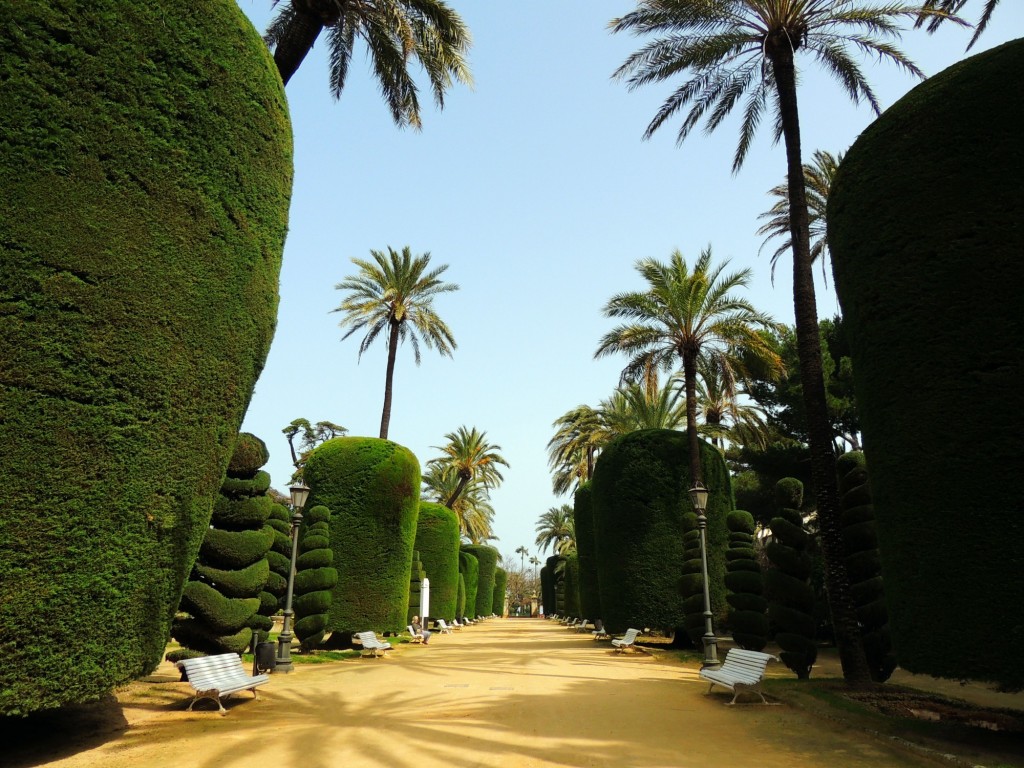 Foto de Cádiz (Andalucía), España