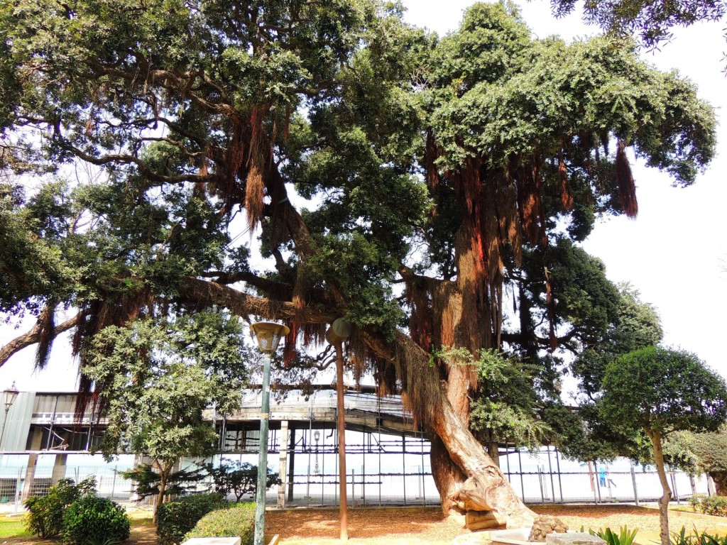 Foto de Cádiz (Andalucía), España
