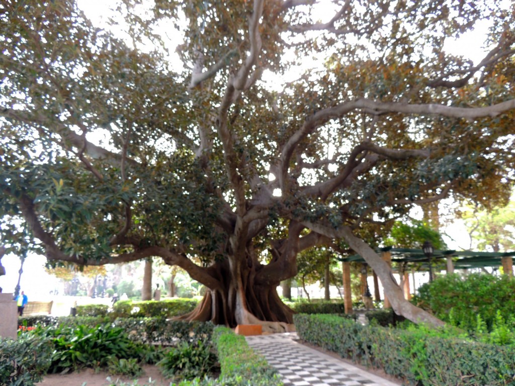 Foto de Cádiz (Andalucía), España