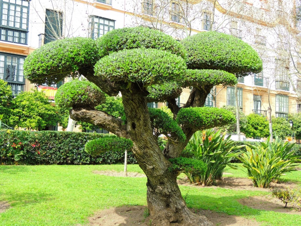 Foto de Cádiz (Andalucía), España