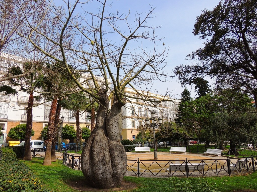 Foto de Cádiz (Andalucía), España