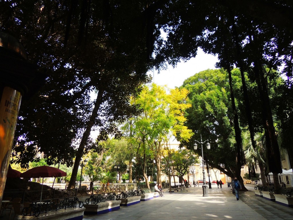 Foto: Plaza de Mina - Cádiz (Andalucía), España