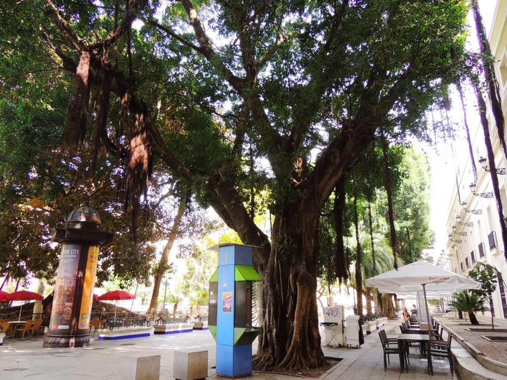 Foto: Plaza de Mina - Cádiz (Andalucía), España