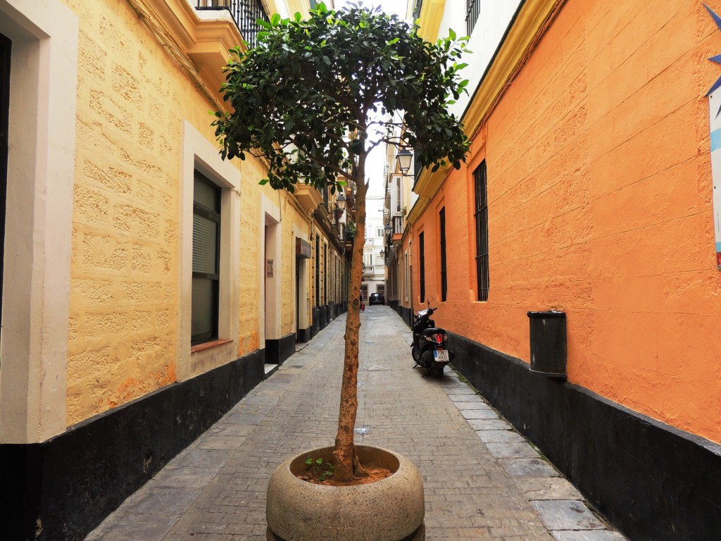 Foto: Calle Plata - Cádiz (Andalucía), España