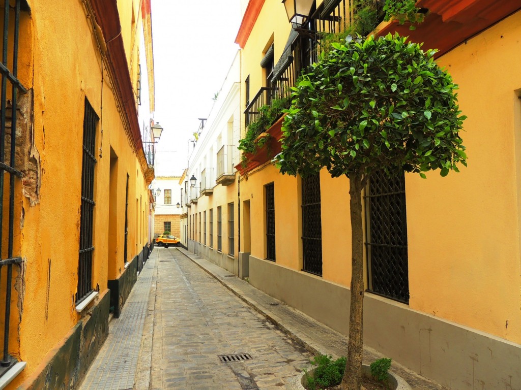 Foto: Calle San Telmo - Cádiz (Andalucía), España