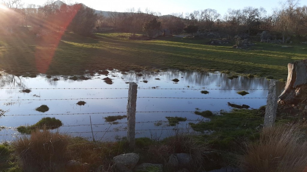 Foto: Campos - Nava de Béjar (Castilla y León), España