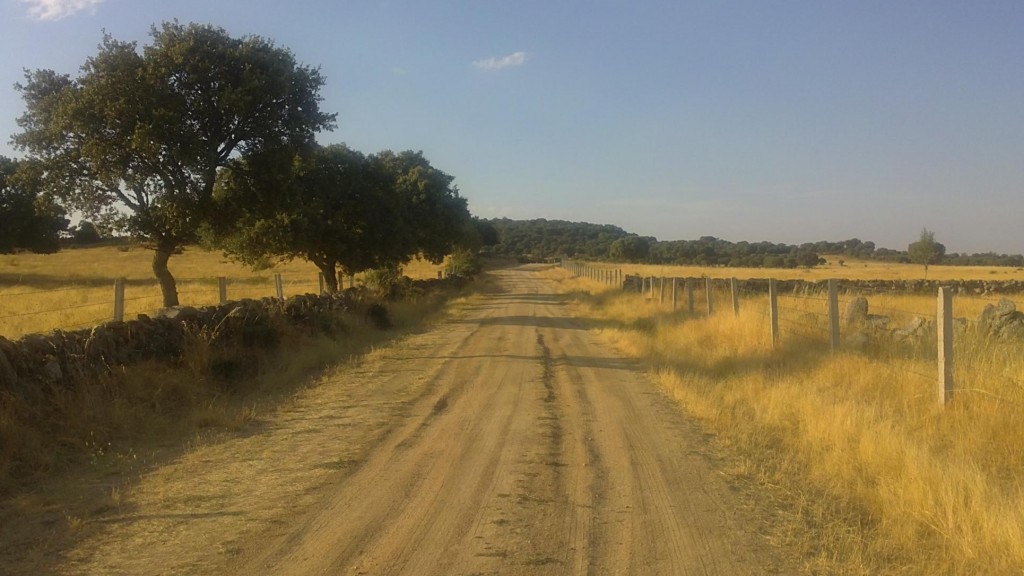 Foto: Campos - Nava de Béjar (Castilla y León), España