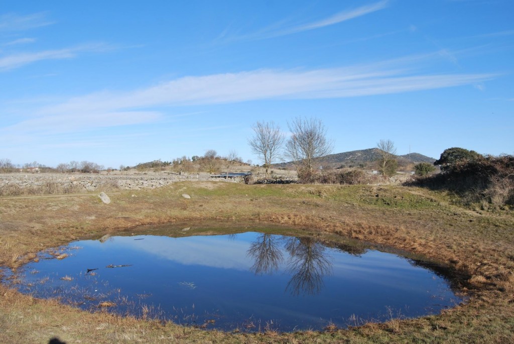 Foto: La Charca - Nava de Béjar (Castilla y León), España