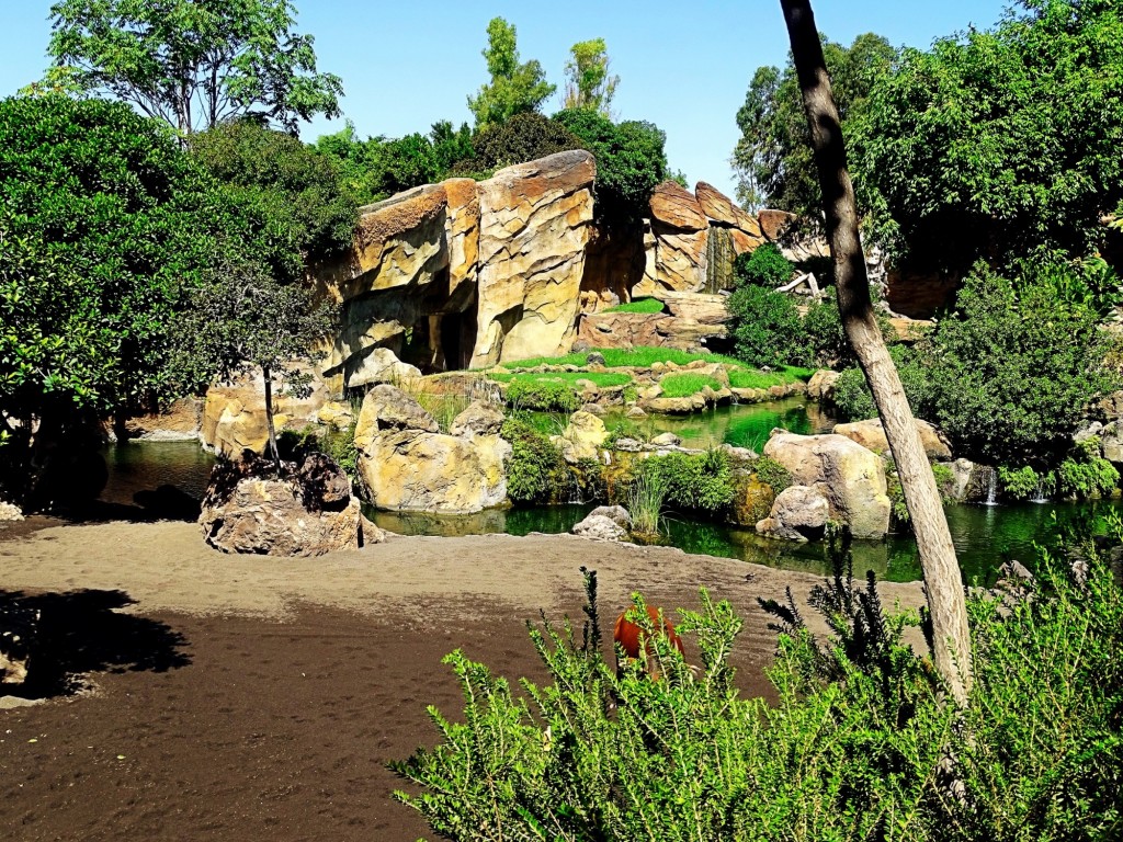Foto: Bioparc - Valencia (Comunidad Valenciana), España