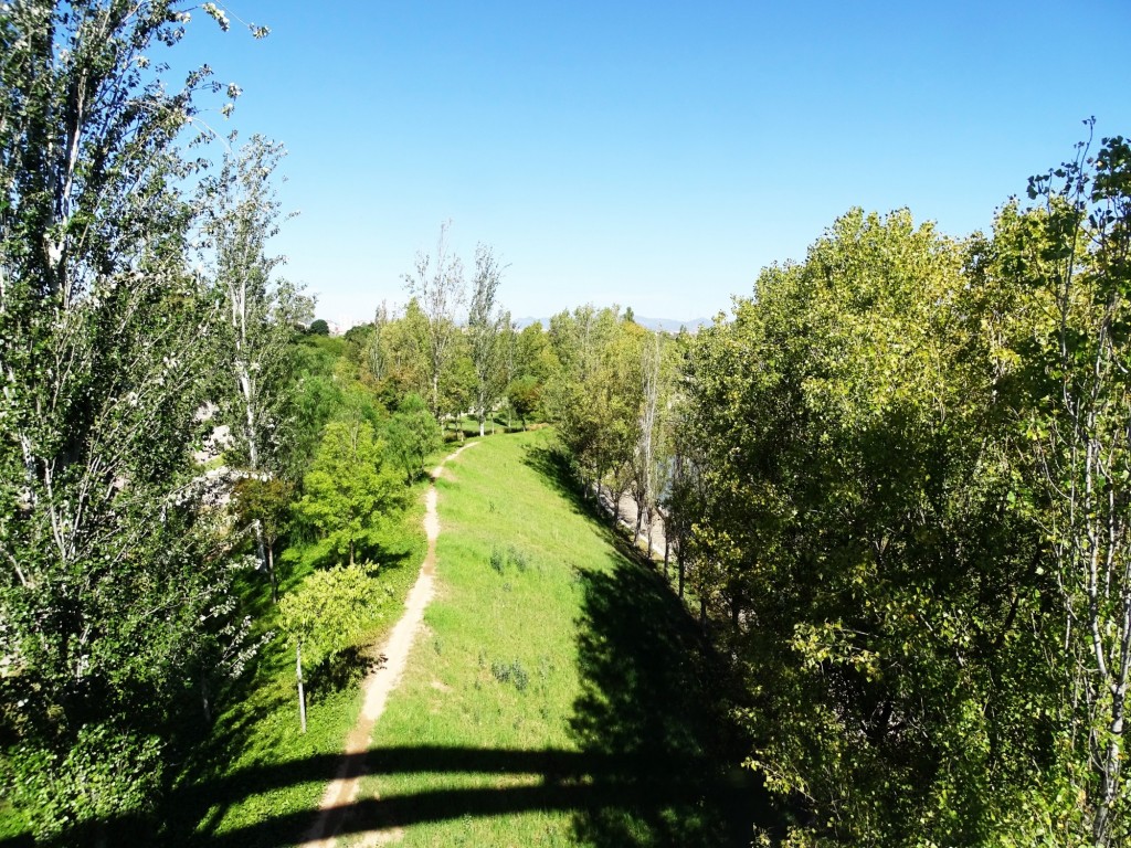 Foto: Antiguo cauce del Turia - Valencia (Comunidad Valenciana), España