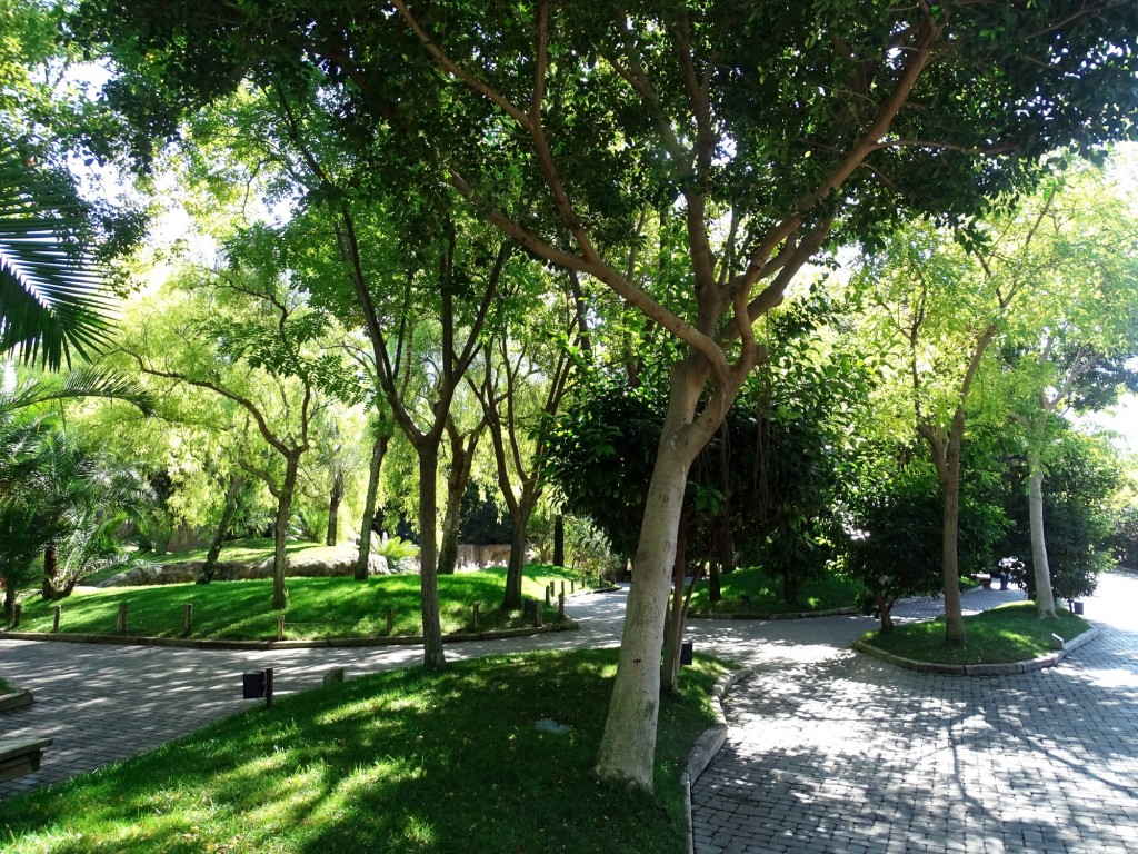 Foto: Bioparc - Valencia (Comunidad Valenciana), España