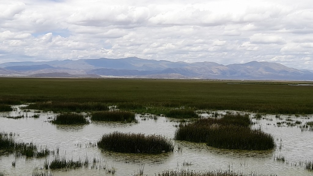 Foto: Lago agonizando - Sora (Oruro), Bolivia
