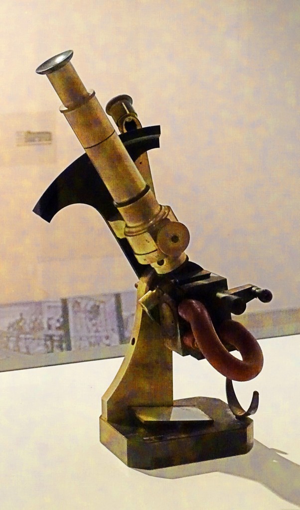 Foto: Microscopio - Valencia (Comunidad Valenciana), España