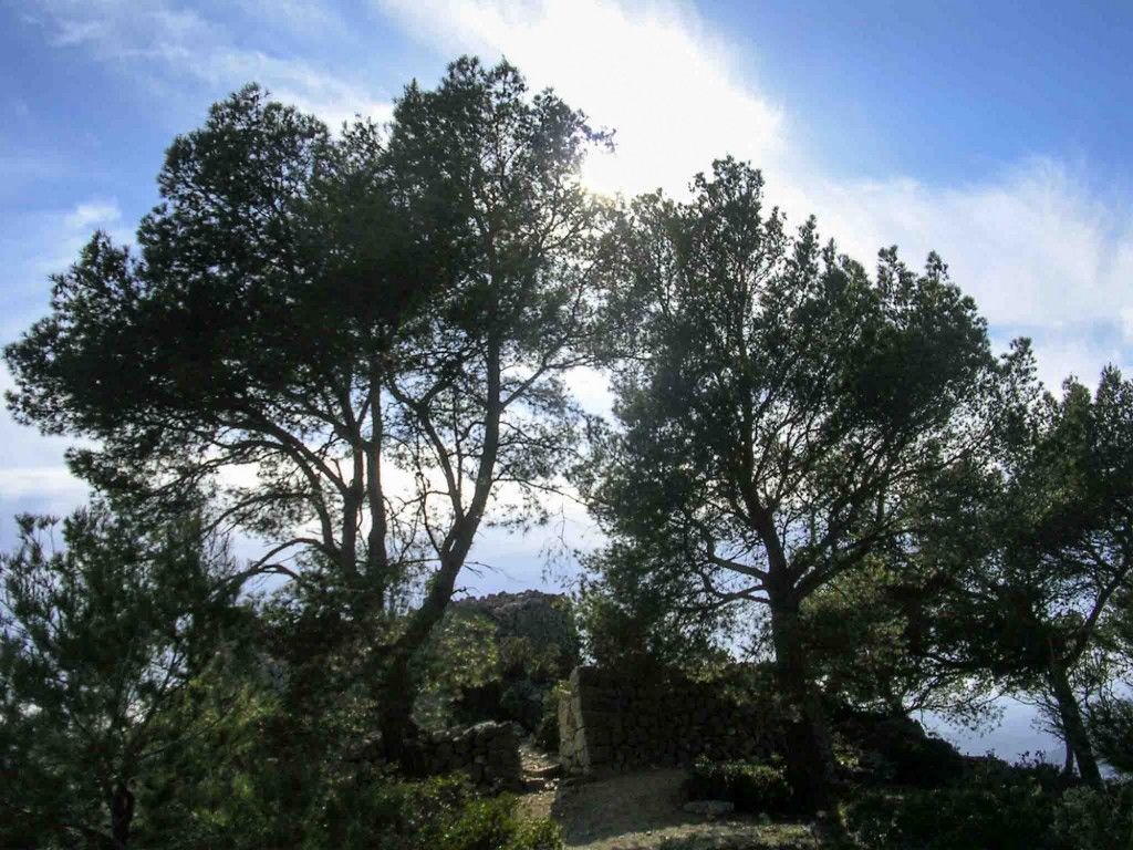 Foto: Entrada del mirador entre los arboles - Calviá (Illes Balears), España