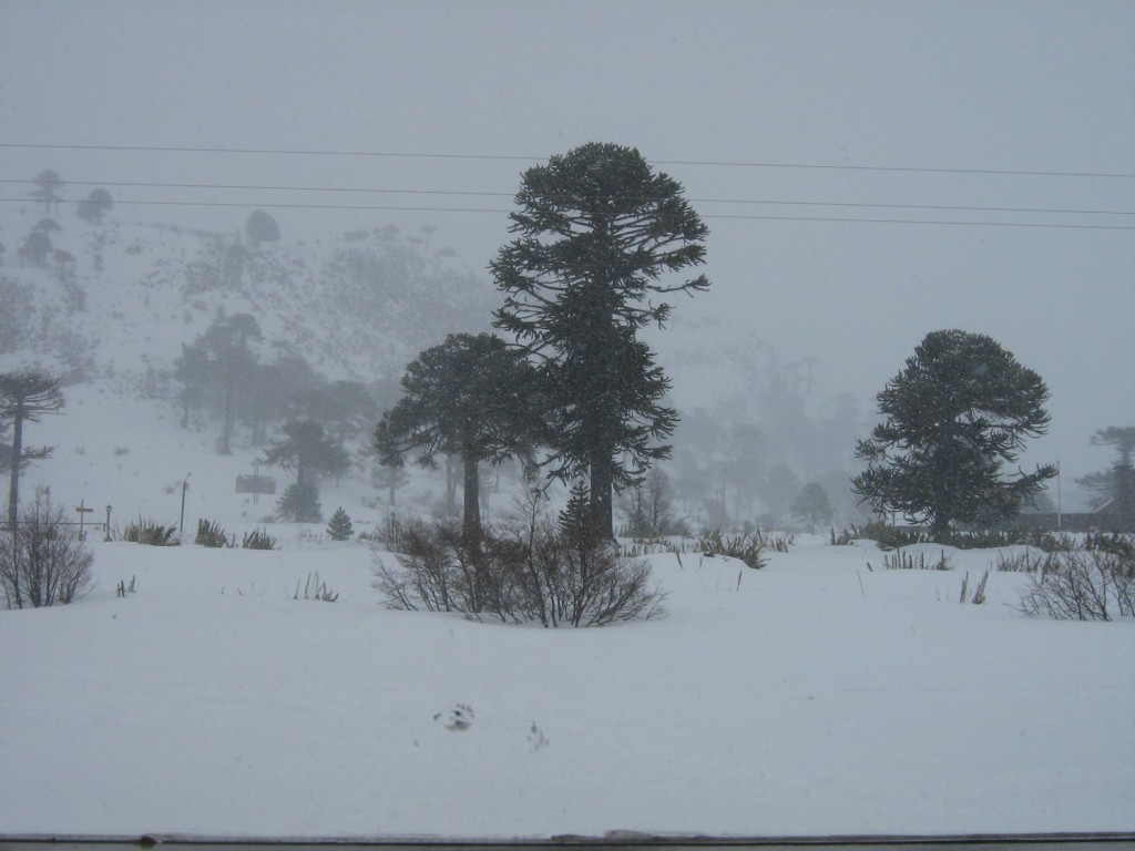 Foto: Tormenta de Nieve - Caviahue (Neuquén), Argentina