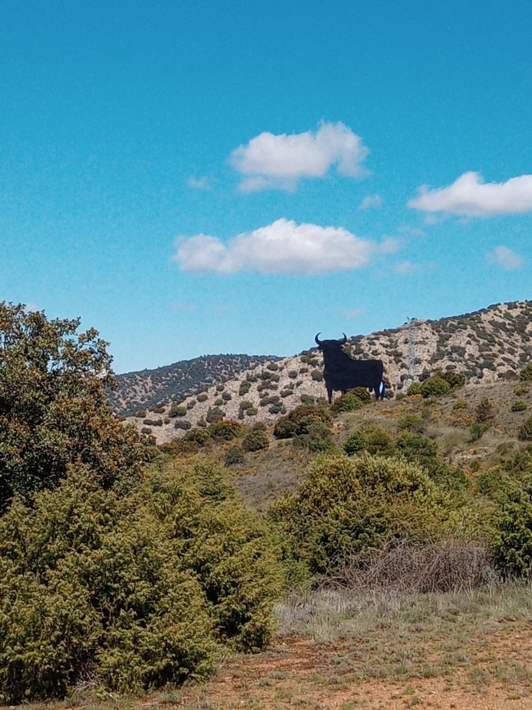 Foto: Puerto Cavero - Calatayud (Aragón), España