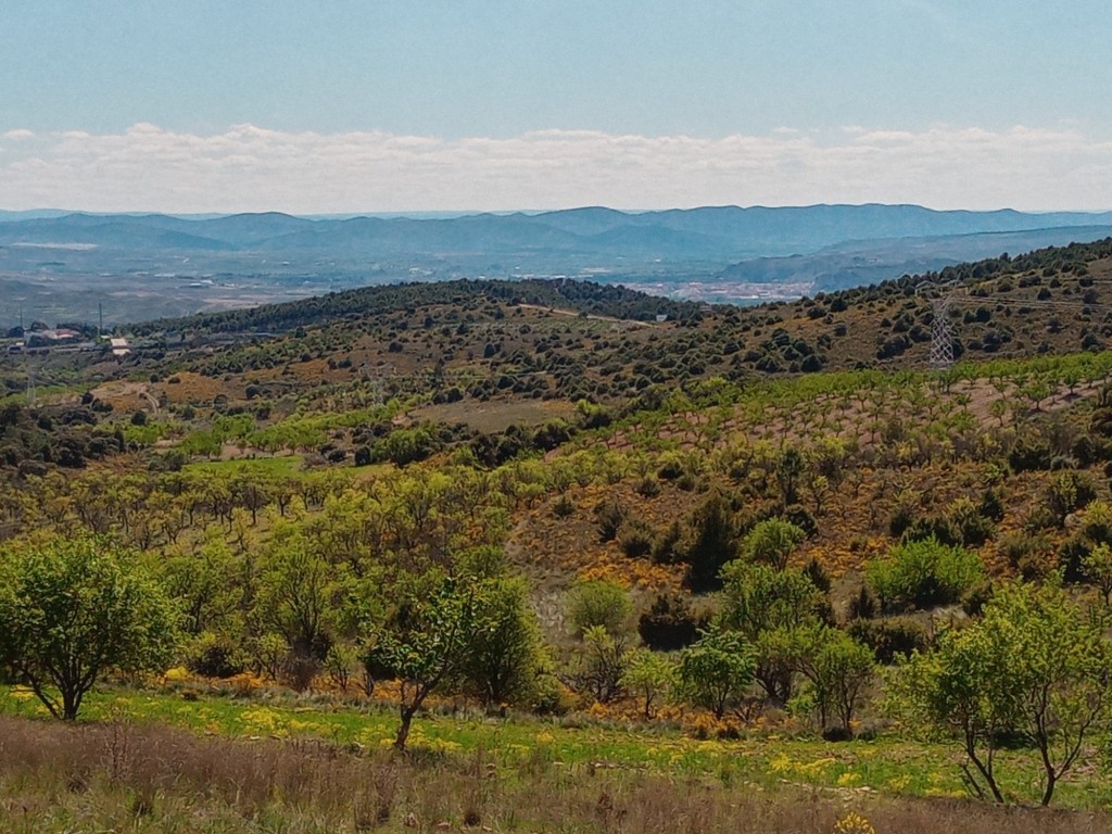 Foto: Puerto Cavero - Calatayud (Aragón), España