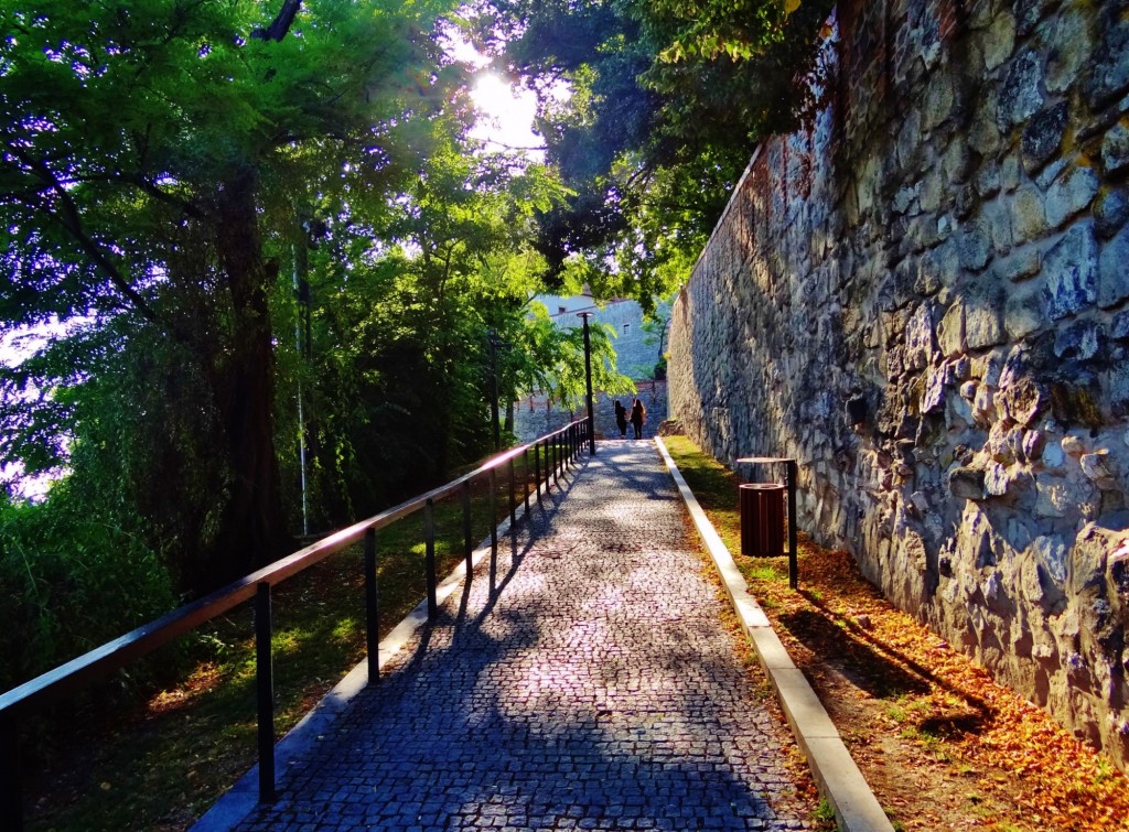 Foto: Vodný Vrch - Bratislava (Bratislavský), Eslovaquia