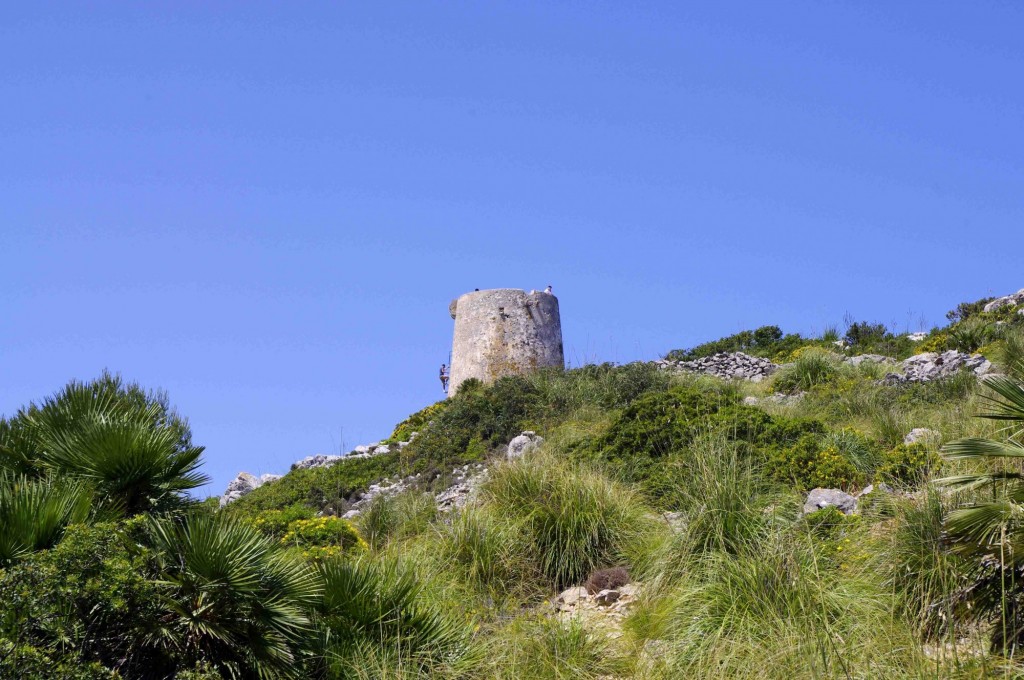 Foto: Talaia d'Albercutx - Pollensa - Formentor (Illes Balears), España