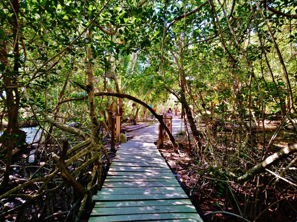 Foto: Hoyo negro Yalahau - Yalahau (Quintana Roo), México