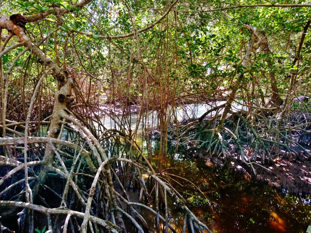 Foto: Hoyo negro Yalahau - Yalahau (Quintana Roo), México