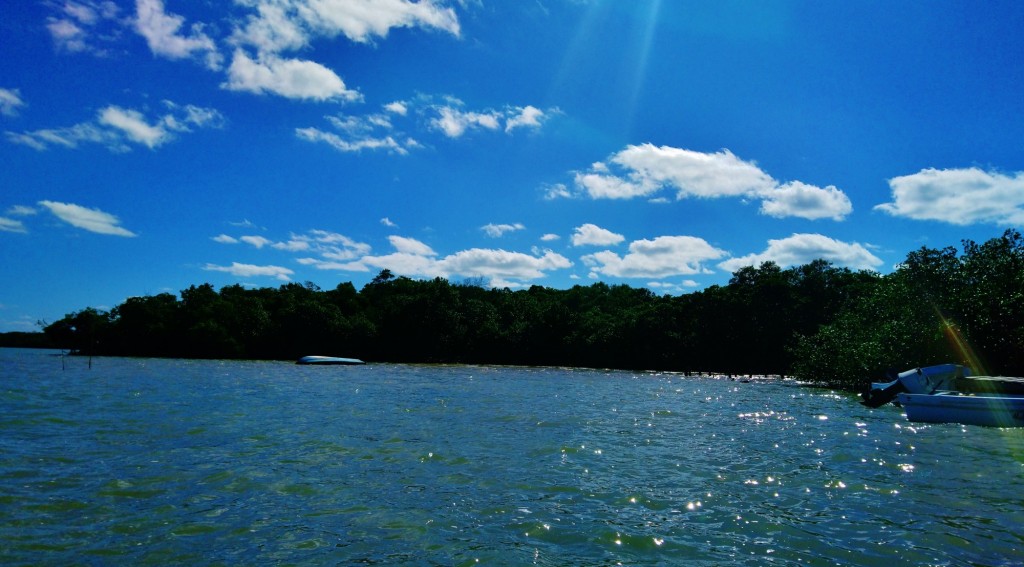 Foto: Yum Balam - Yalahau (Quintana Roo), México