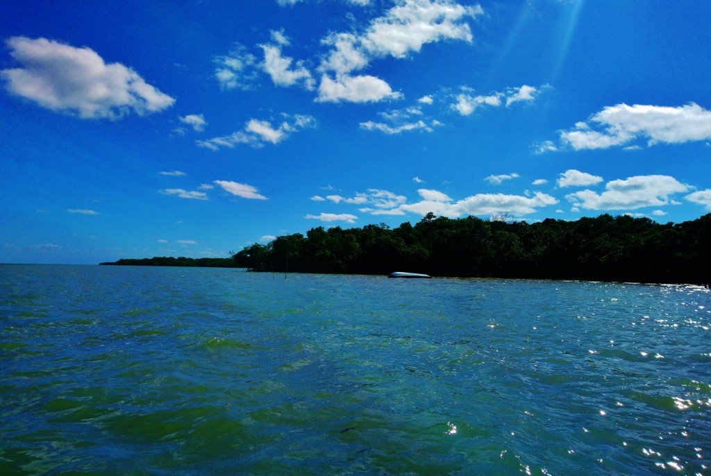 Foto: Yum Balam - Yalahau (Quintana Roo), México