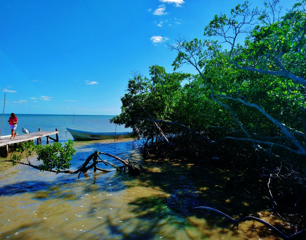 Foto: Hoyo negro Yalahau - Yalahau (Quintana Roo), México
