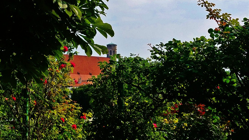 Foto: Volksgarten - Wien (Vienna), Austria