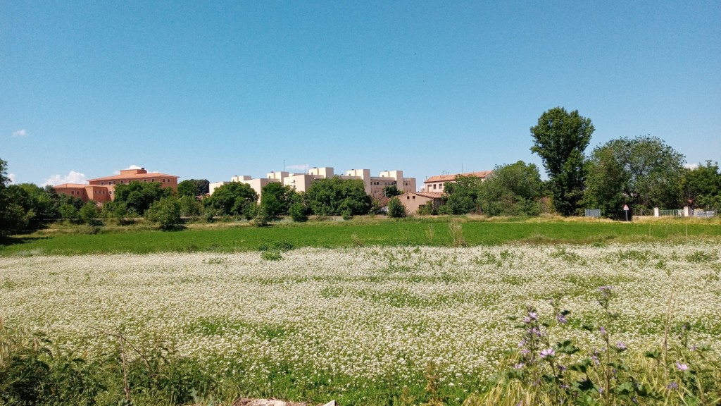 Foto: primavera 2021 - Calatayud (Aragón), España