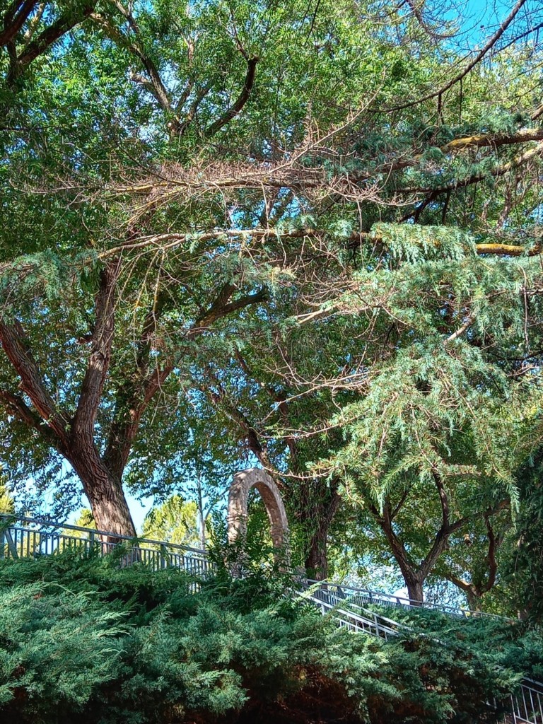 Foto: Parque de San Antonio - Calatayud (Aragón), España