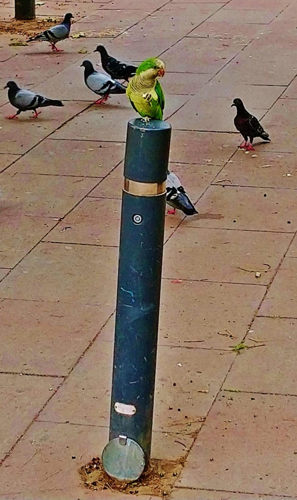 Foto: La más lista de la clase - Barcelona (Cataluña), España