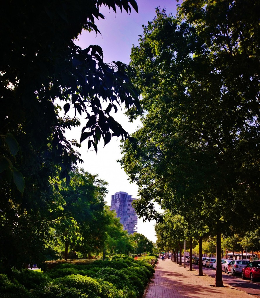 Foto: Selva de Mar - Barcelona (Cataluña), España