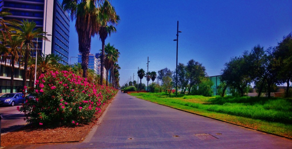 Foto: Passeig de Garcia Fària - Barcelona (Cataluña), España