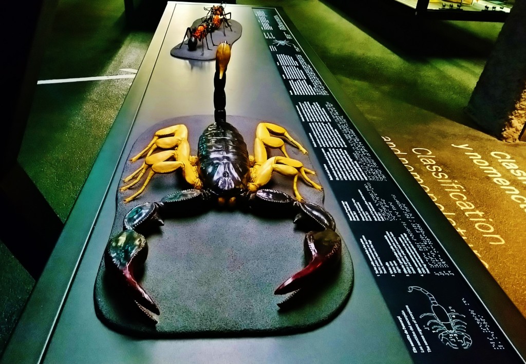 Foto: Museu de Ciències Naturals de Barcelona - Barcelona (Cataluña), España