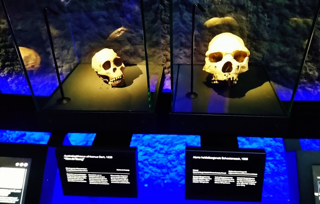 Foto: Museu de Ciències Naturals de Barcelona - Barcelona (Cataluña), España