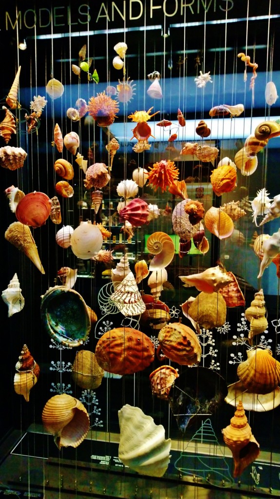 Foto: Museu de Ciències Naturals de Barcelona - Barcelona (Cataluña), España