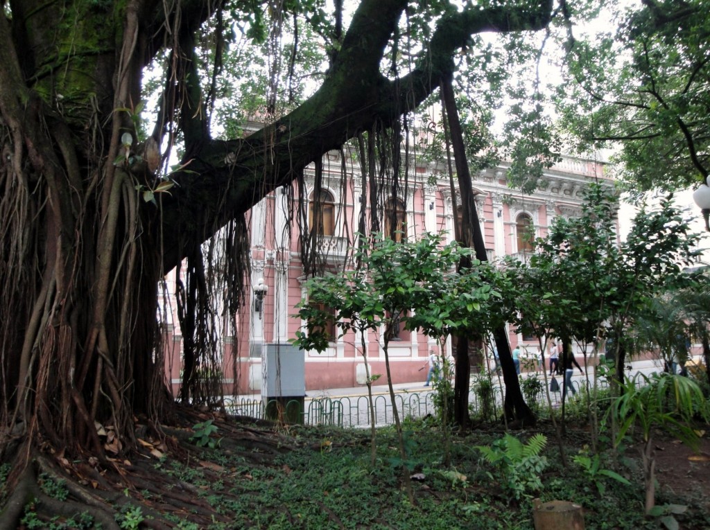 Foto: Palácio Cruz e Sousa - Florianópolis (Santa Catarina), Brasil