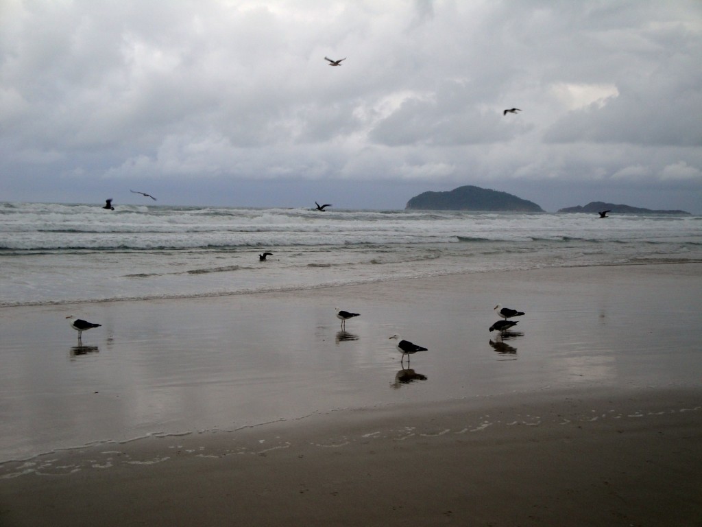 Foto: Praia do Santinho - Florianópolis (Santa Catarina), Brasil