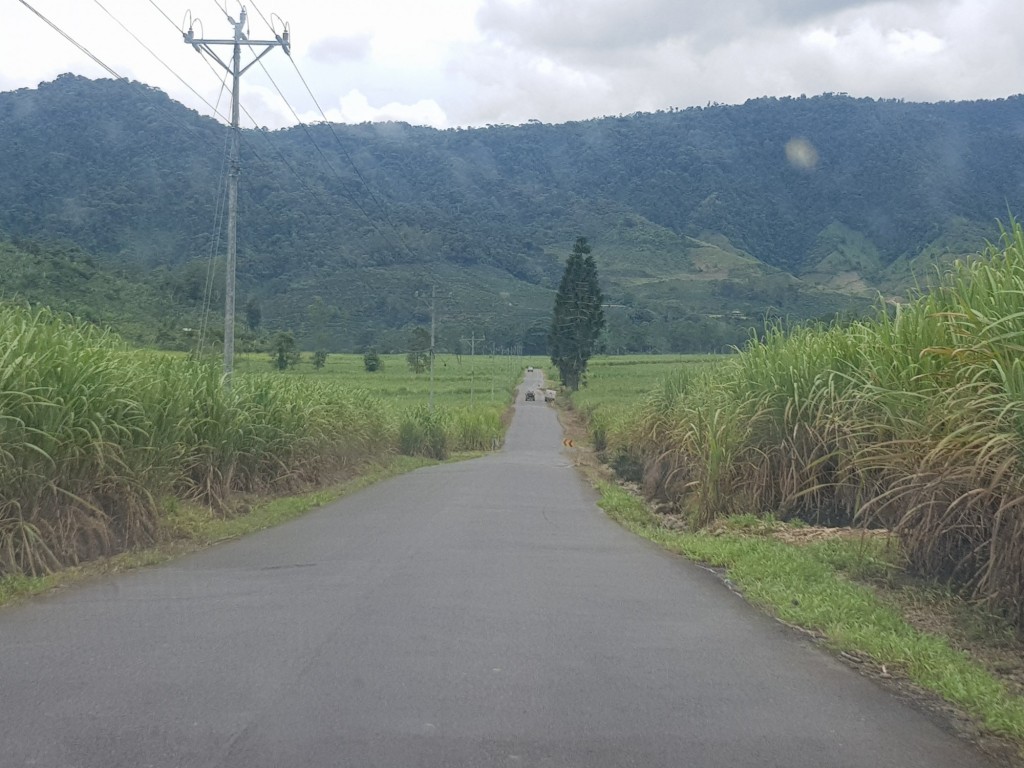 Foto de Cañal de Atirro (Cartago), Costa Rica